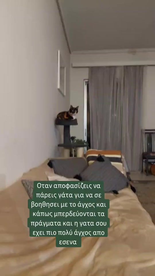 TikTok video thumbnail by ohmycat_gr