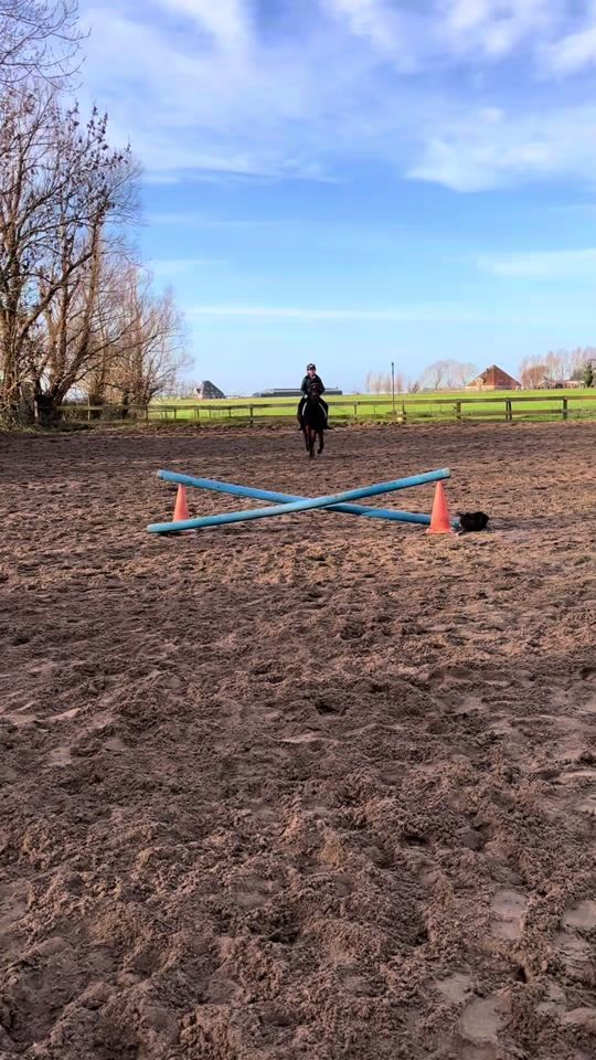 TikTok video thumbnail by roos.kay