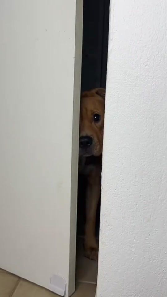 TikTok video thumbnail by kaja_macho