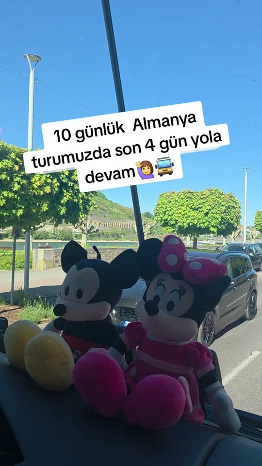 TikTok video thumbnail by turkan.kaptan