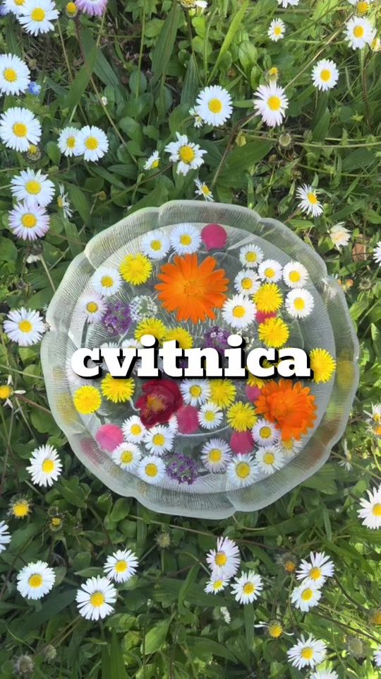 TikTok video thumbnail by anamariakasumovic