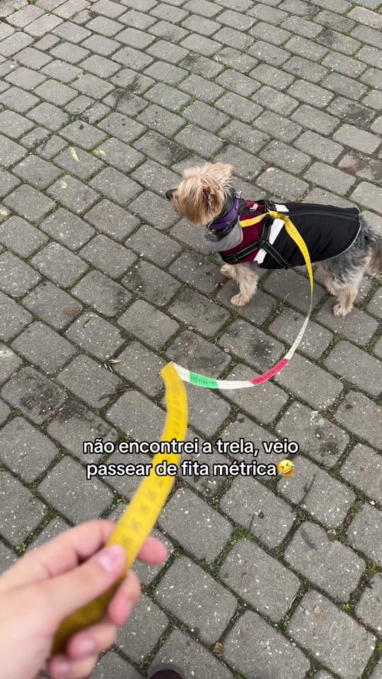 TikTok video thumbnail by its.necho