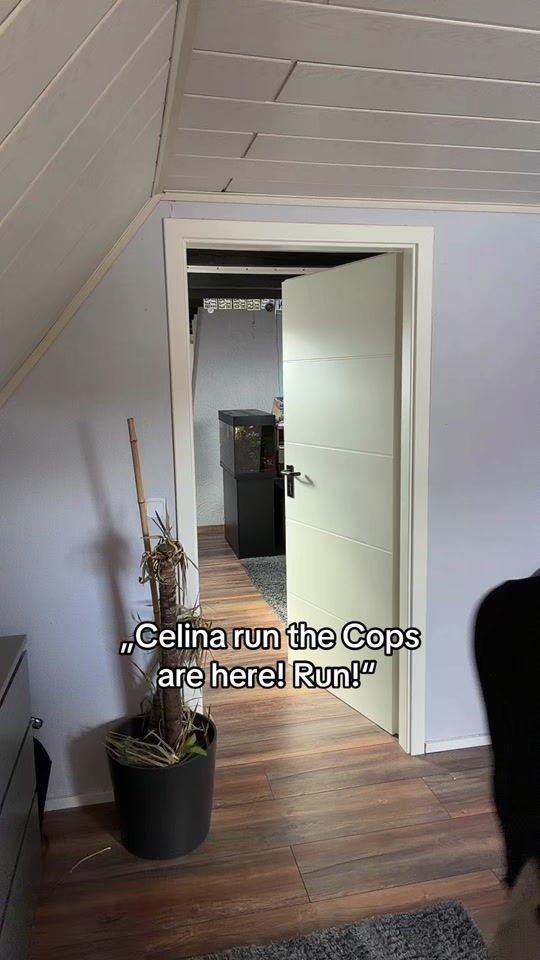 TikTok video thumbnail by celina.somerhalder