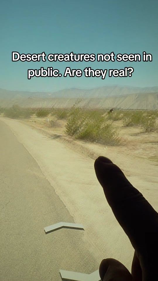 TikTok video thumbnail by googleearth926