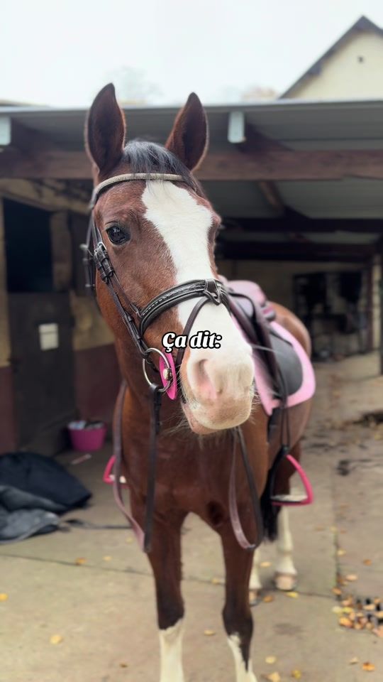 TikTok video thumbnail by clara_adam_