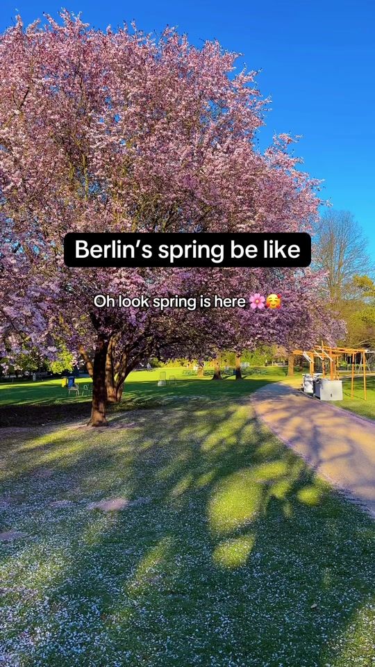 TikTok video thumbnail by mayson_berliner