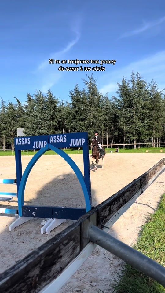 TikTok video thumbnail by la_petite_cavalieree