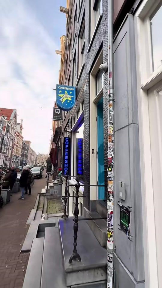 TikTok video thumbnail by thedolphinsamsterdam
