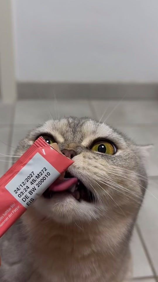TikTok video thumbnail by chayjene.ly