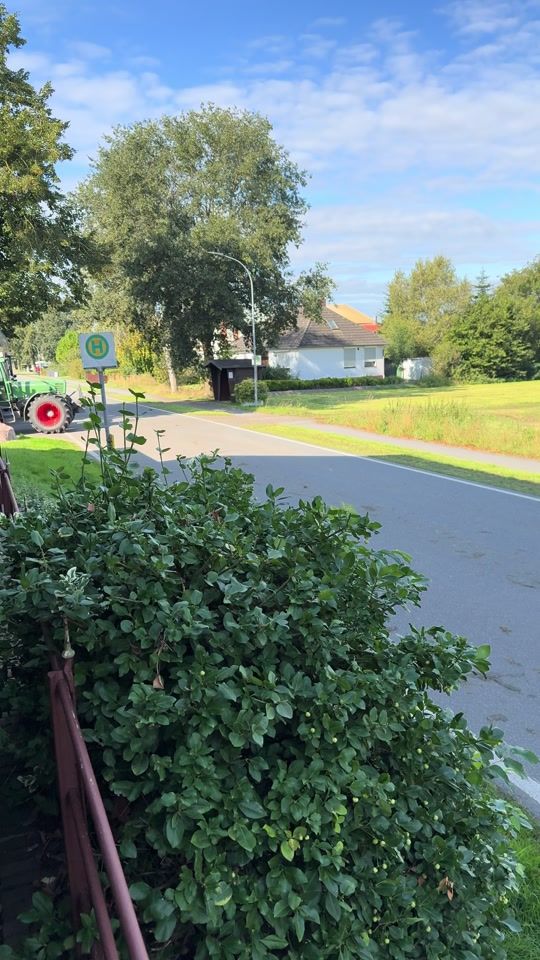 TikTok video thumbnail by lukaskeck0