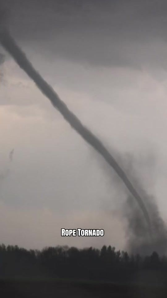 TikTok video thumbnail by hubistormhunter
