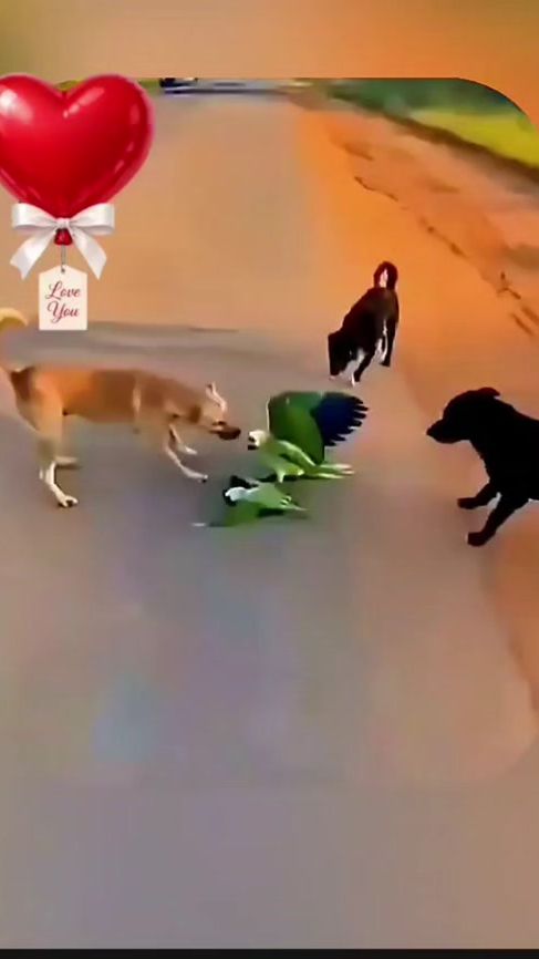 TikTok video thumbnail by jaytin_atr