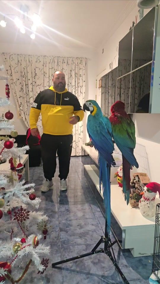 TikTok video thumbnail by yonaev