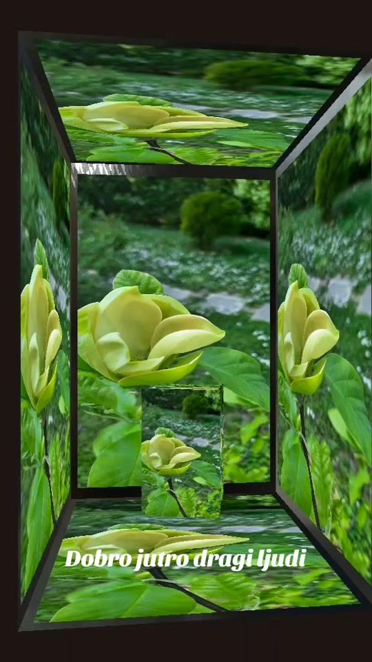 TikTok video thumbnail by mari.jane572