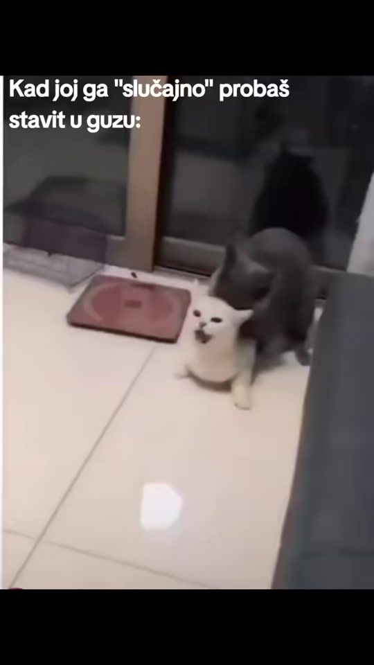 TikTok video thumbnail by mihael_____