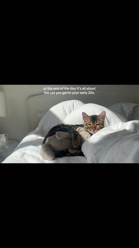 TikTok video thumbnail by stellabellakate