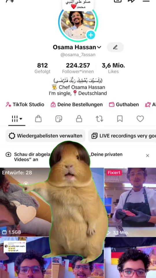 TikTok video thumbnail by osama_7assan