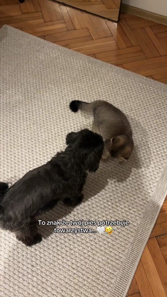 TikTok video thumbnail by tatallkaaa