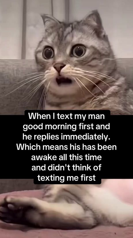 TikTok video thumbnail by alanwood22