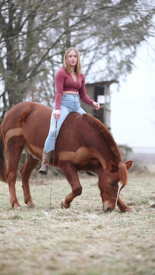 TikTok video thumbnail by hearthhorses