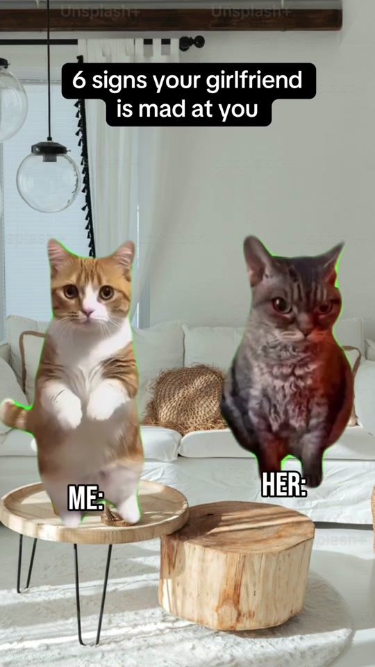 TikTok video thumbnail by notreallyrick