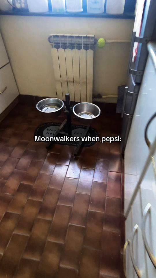 TikTok video thumbnail by bono248