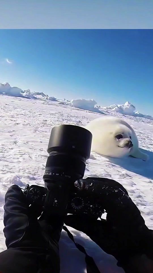 TikTok video thumbnail by sacai35