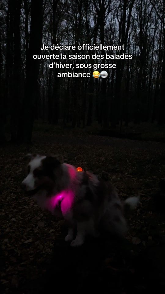 TikTok video thumbnail by austra_laiaa