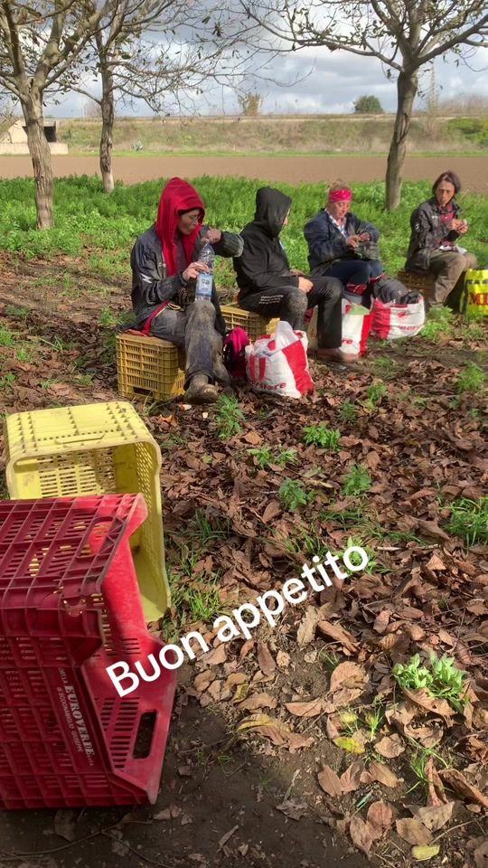 TikTok video thumbnail by violandaromano
