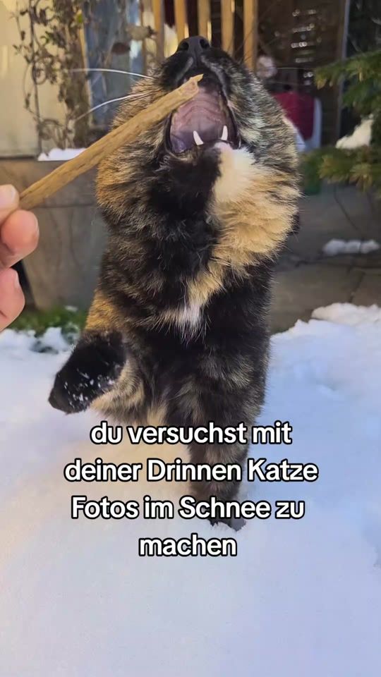 TikTok video thumbnail by mialuna1983
