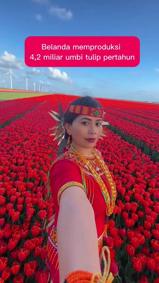 TikTok video thumbnail by indokreperepe47