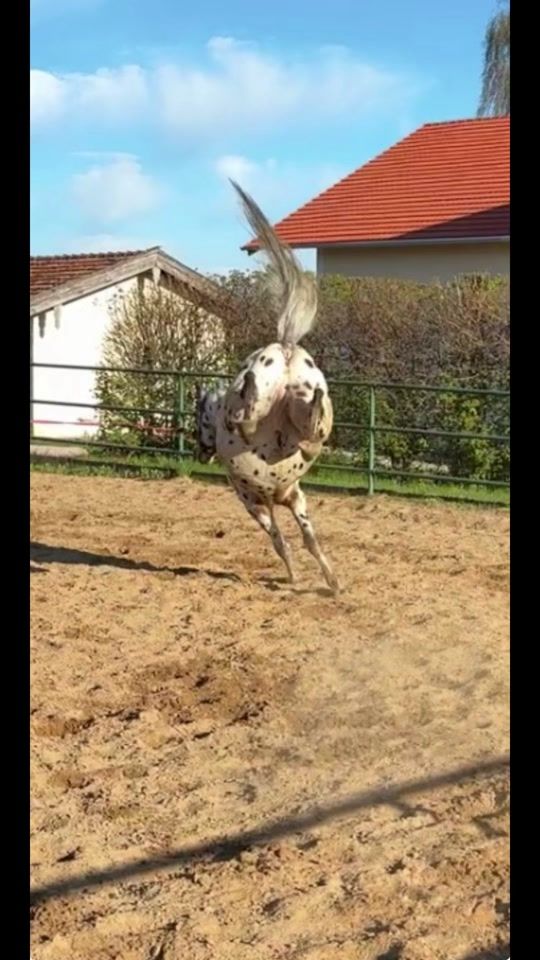 TikTok video thumbnail by juliaundinfante