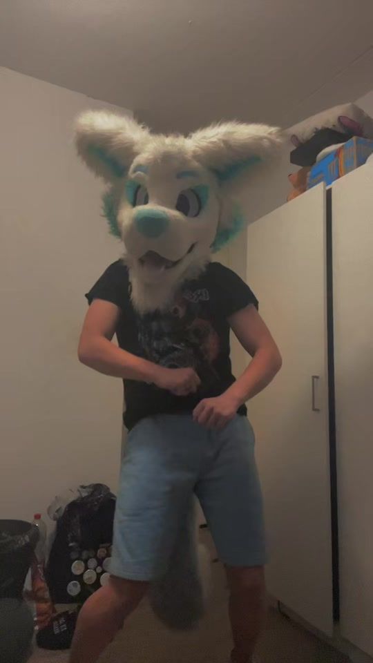 TikTok video thumbnail by taxthearticfox