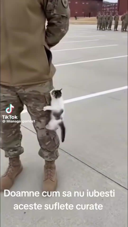 TikTok video thumbnail by hamadafadl179