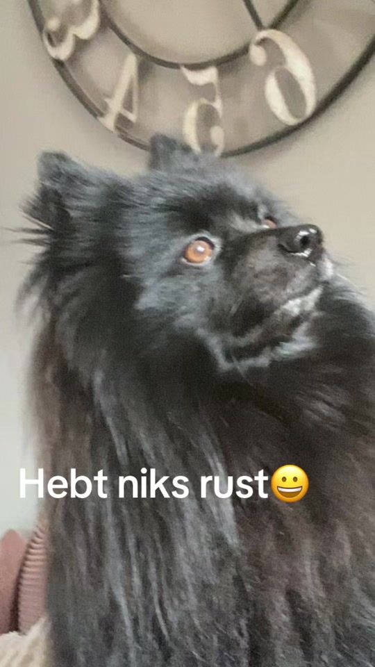 TikTok video thumbnail by ewakubacka5