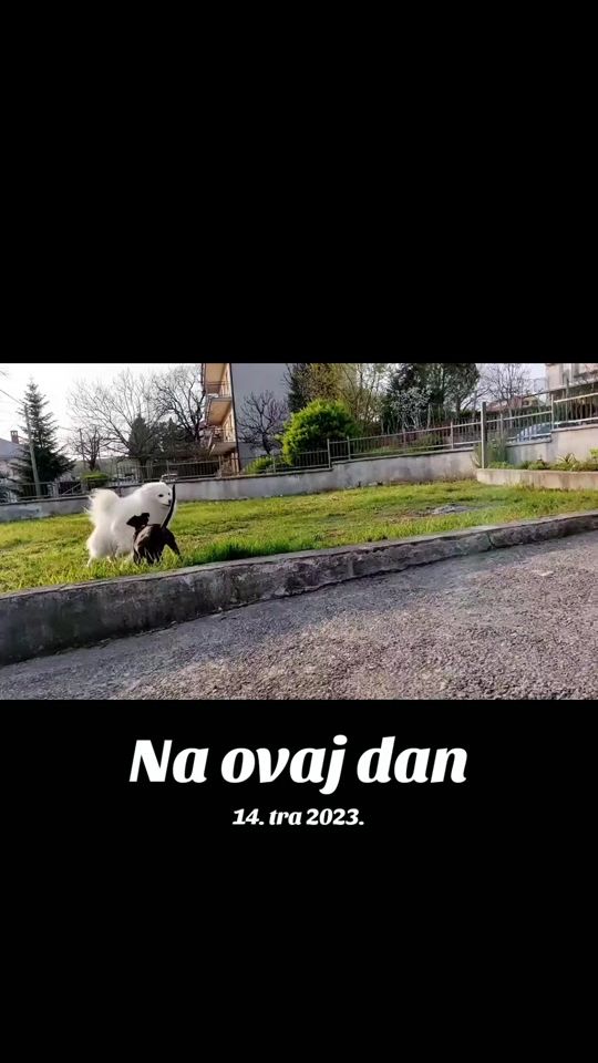 TikTok video thumbnail by danci.30