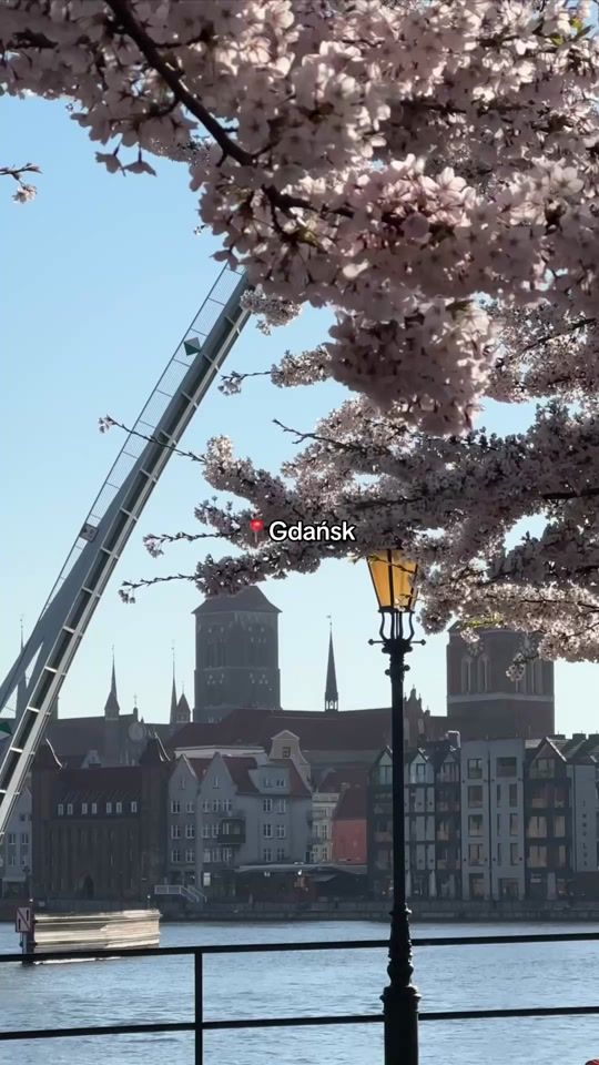 TikTok video thumbnail by gdansk_official
