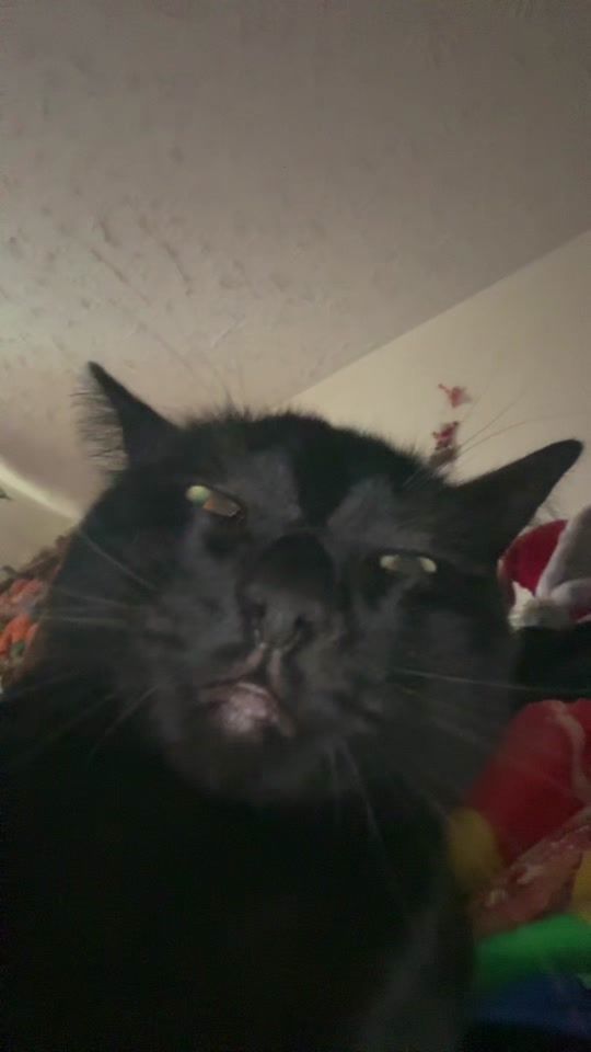 TikTok video thumbnail by emily.martin_