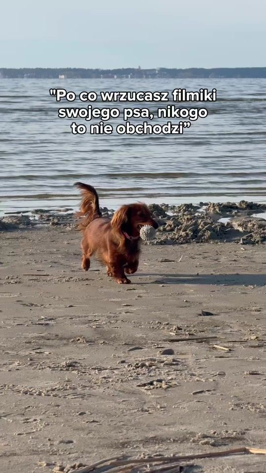 TikTok video thumbnail by sobieszczanek