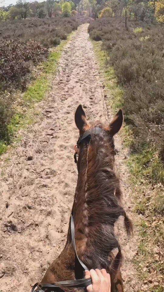 TikTok video thumbnail by davesylvana