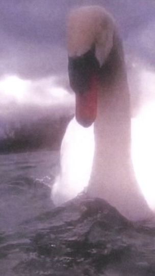 TikTok video thumbnail by olivianderi