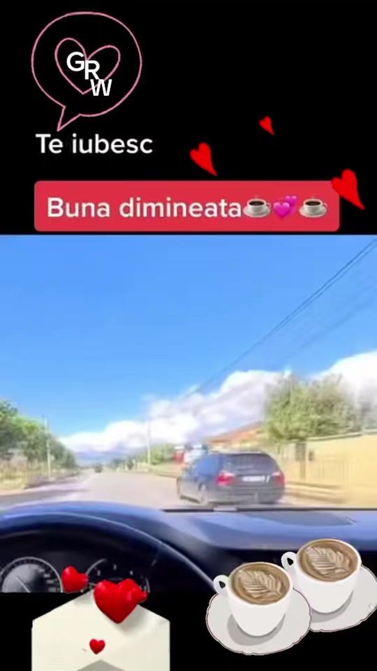 TikTok video thumbnail by danyela__grw247