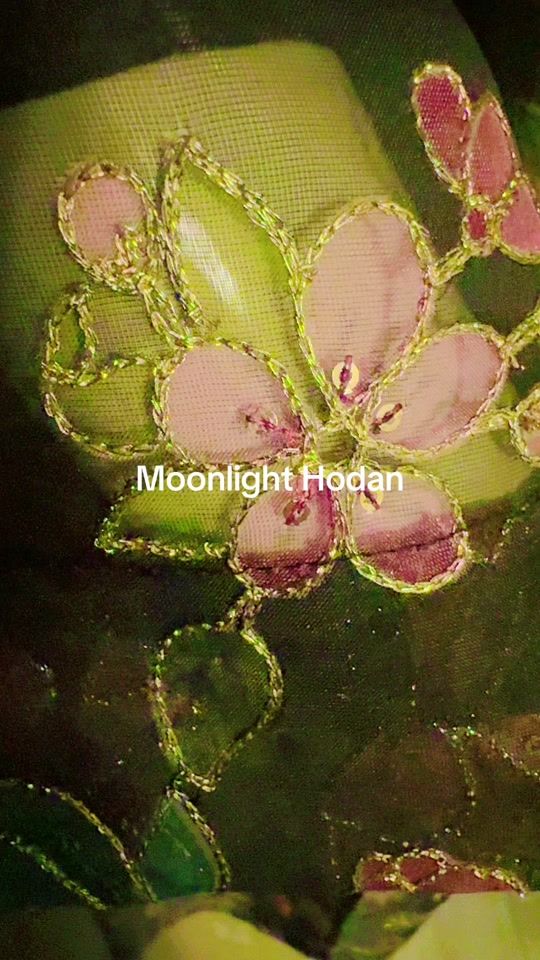 TikTok video thumbnail by monnlight.hodan