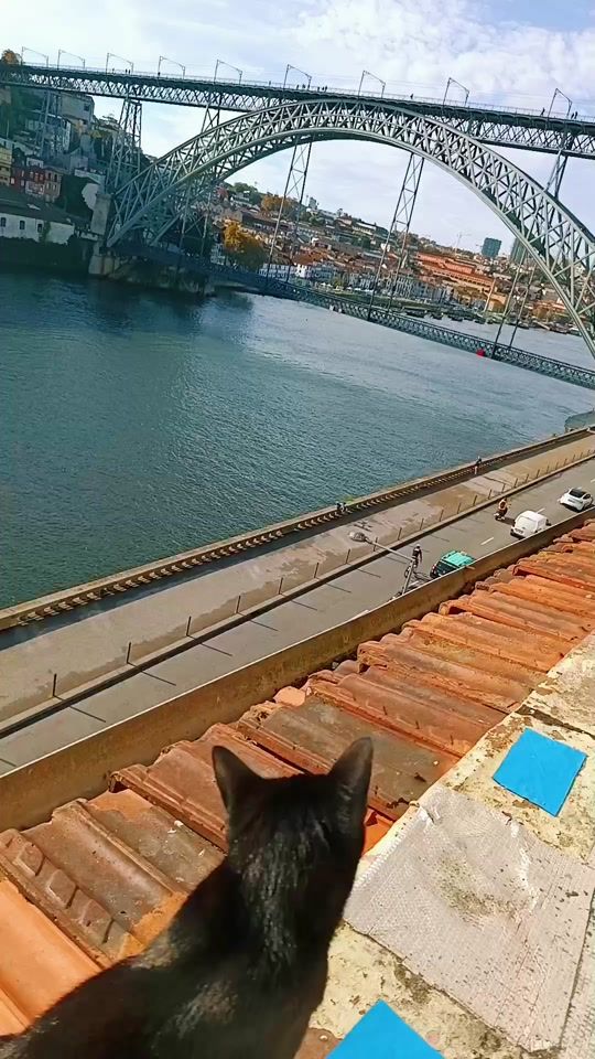 TikTok video thumbnail by henrique.drago5