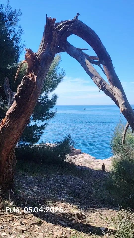 TikTok video thumbnail by denis.hrnjic