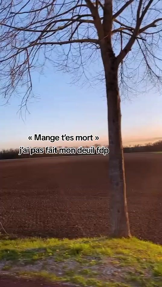 TikTok video thumbnail by user.lloo