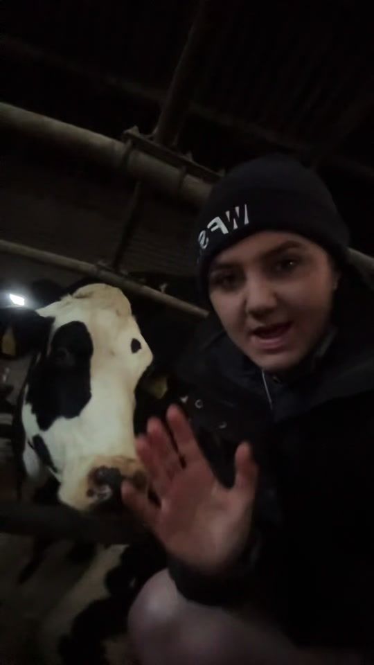 TikTok video thumbnail by thedrinkalldairy