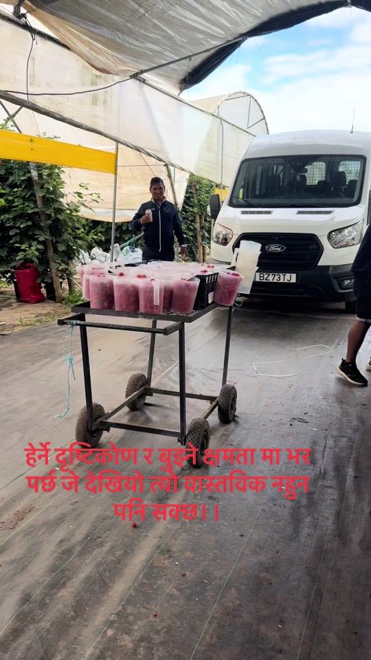 TikTok video thumbnail by reetu.kecy