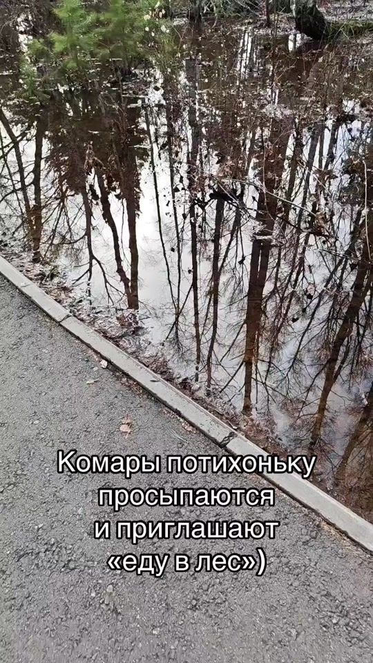 TikTok video thumbnail by step_news_pm