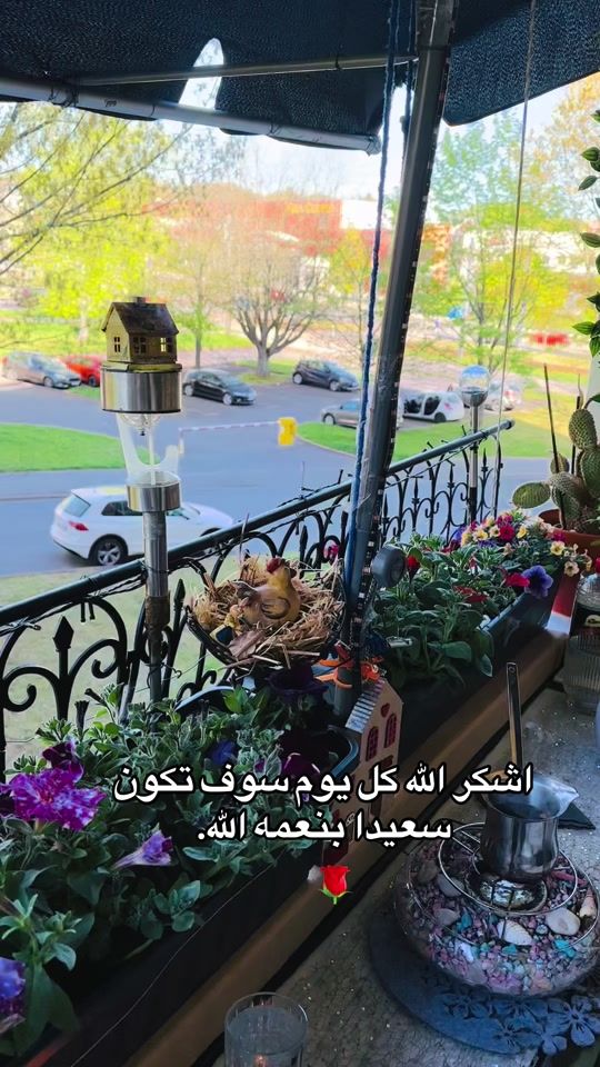 TikTok video thumbnail by dsarav.6